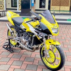 Kawasaki Ninja RR 300 cc Dual Cylinder 2015, Spek Balap