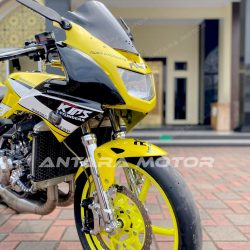 Kawasaki Ninja RR 300 cc Dual Cylinder 2015, Spek Balap