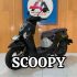 HONDA SCOOPY FASHION 2026