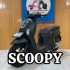 HONDA SCOOPY PRESTIGE 2026