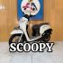 HONDA SCOOPY PRESTIGE 2020