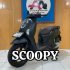 HONDA SCOOPY PRISTIGE 2026