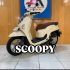 HONDA SCOOPY PRESTIGE 2026